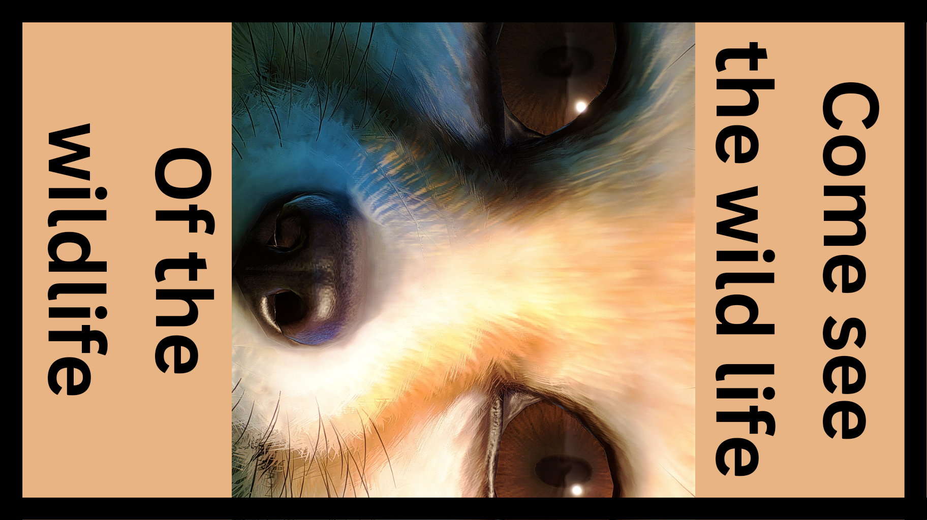 20221222_111431_0000.png