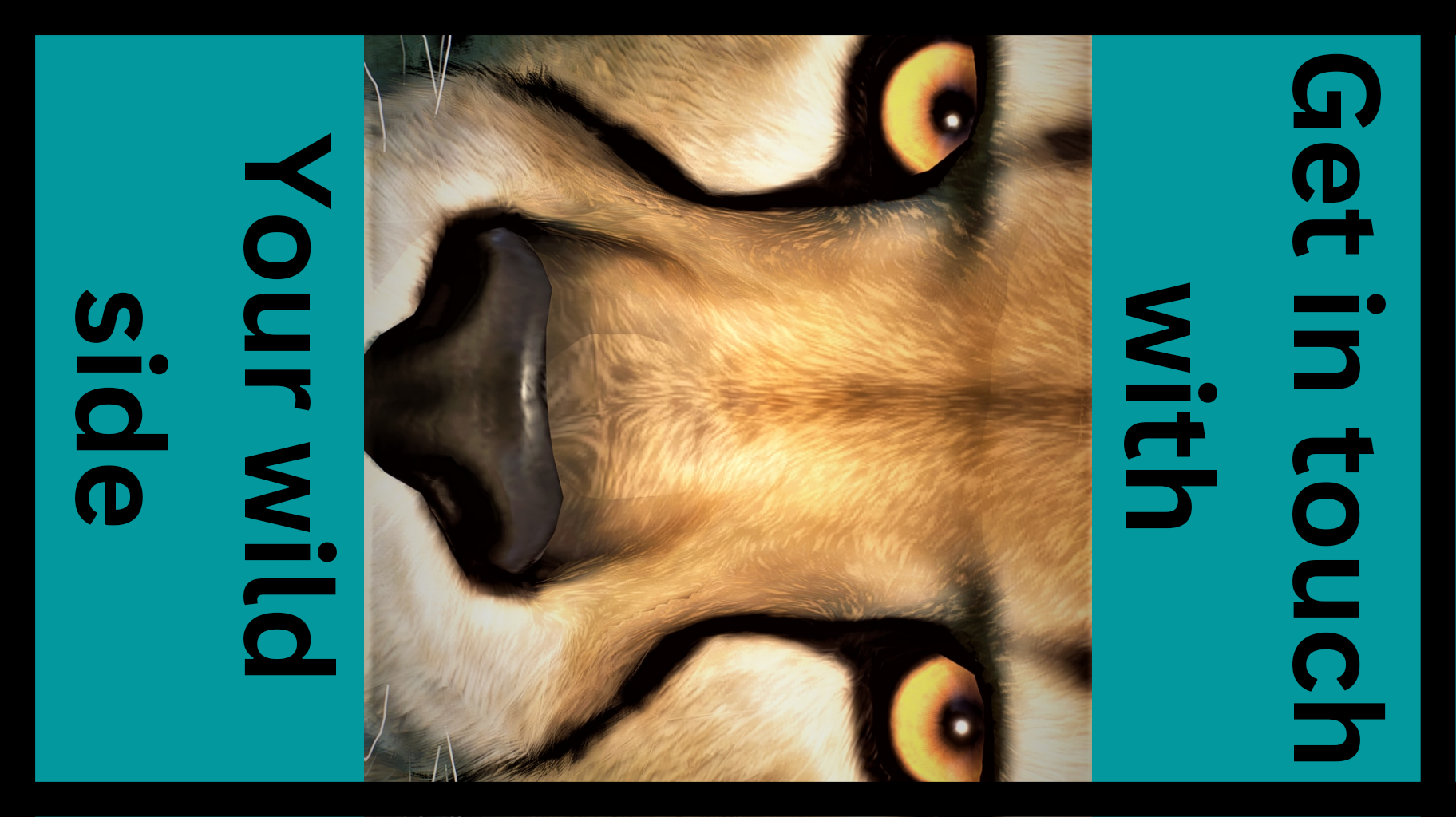 20221222_111610_0000.png