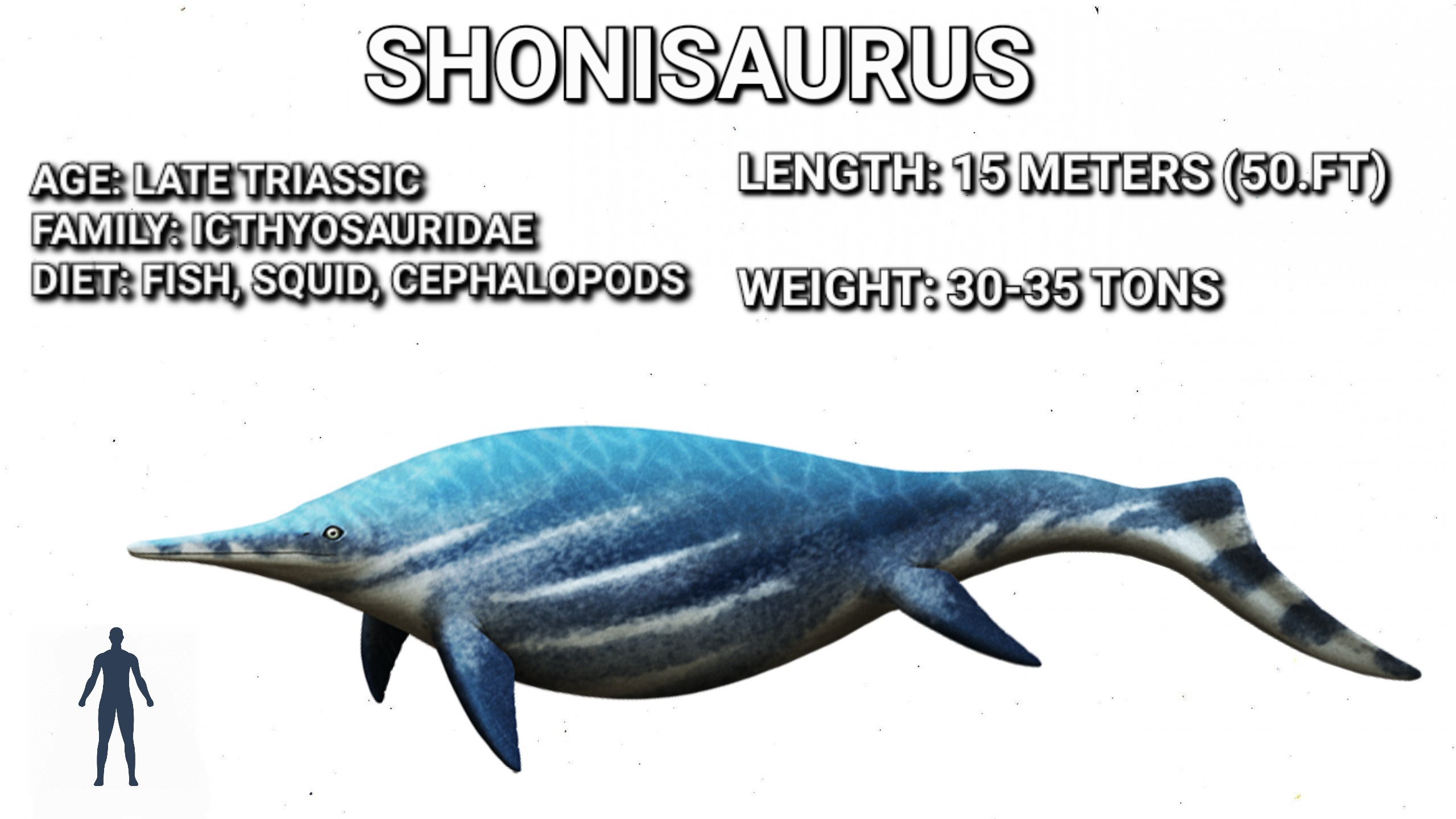 shonisaurus size