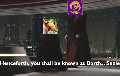 20230610_120827_0000.png