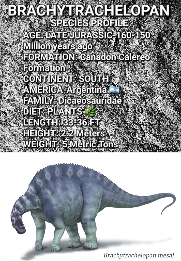 20230903_170955.jpg