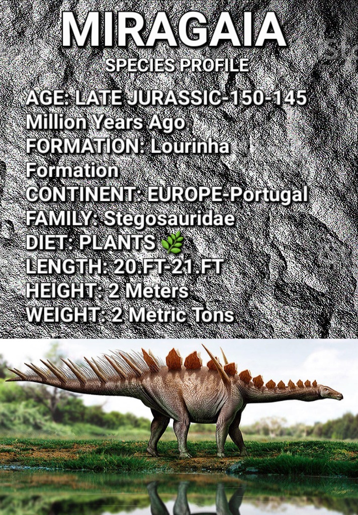 20230903_173010.jpg