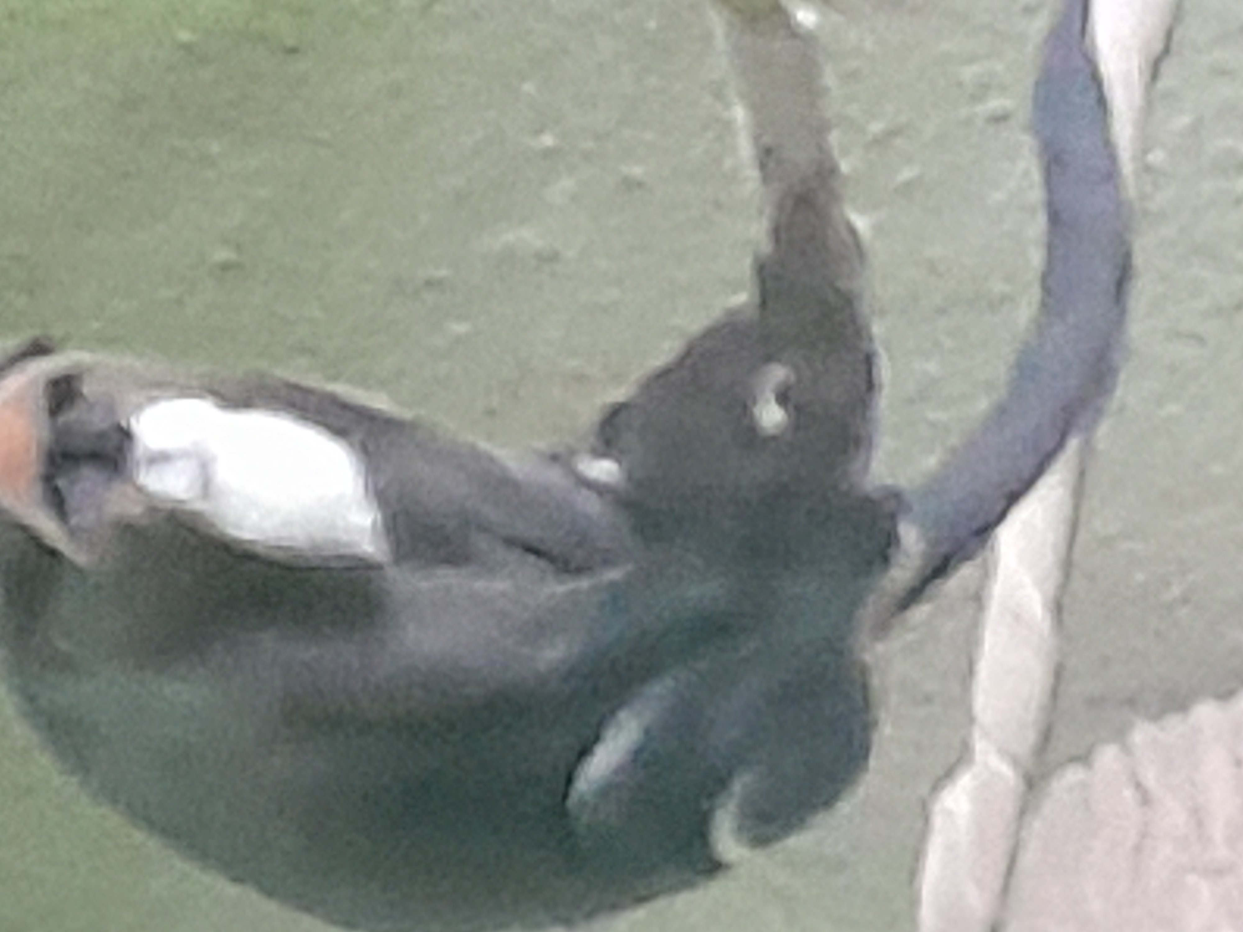 20241027_101047.jpg