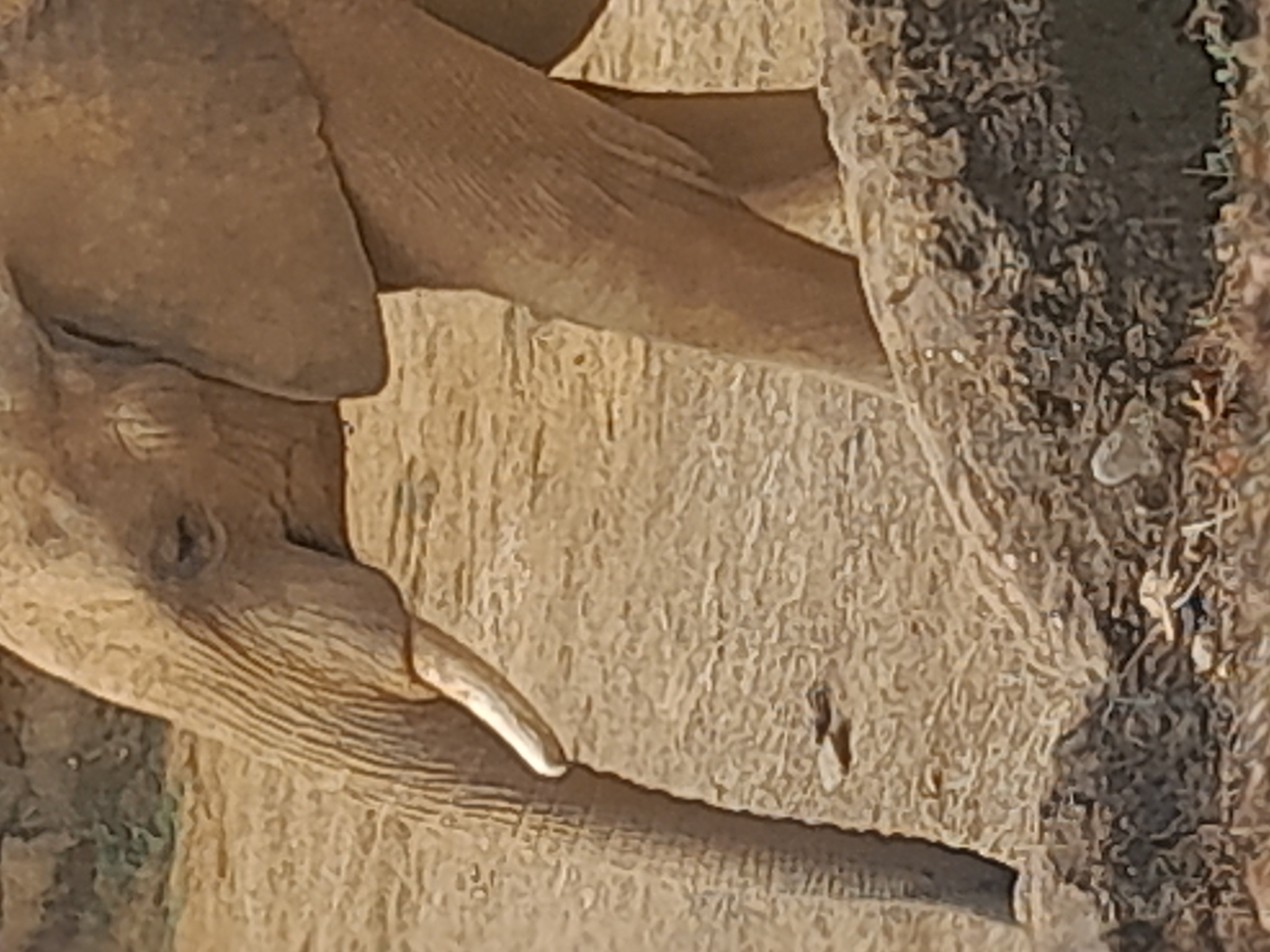 20241027_102615.jpg