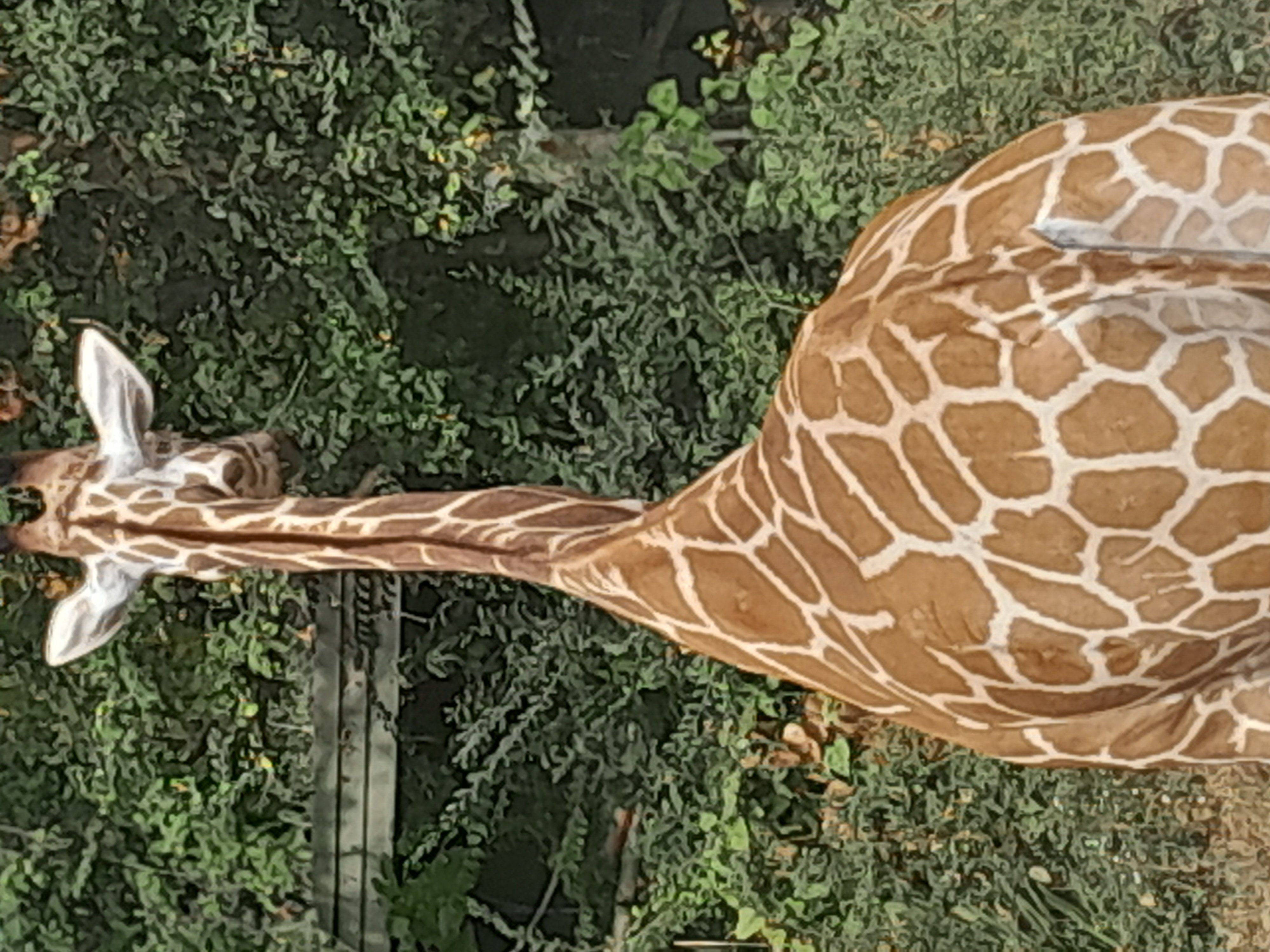 20241027_103326.jpg