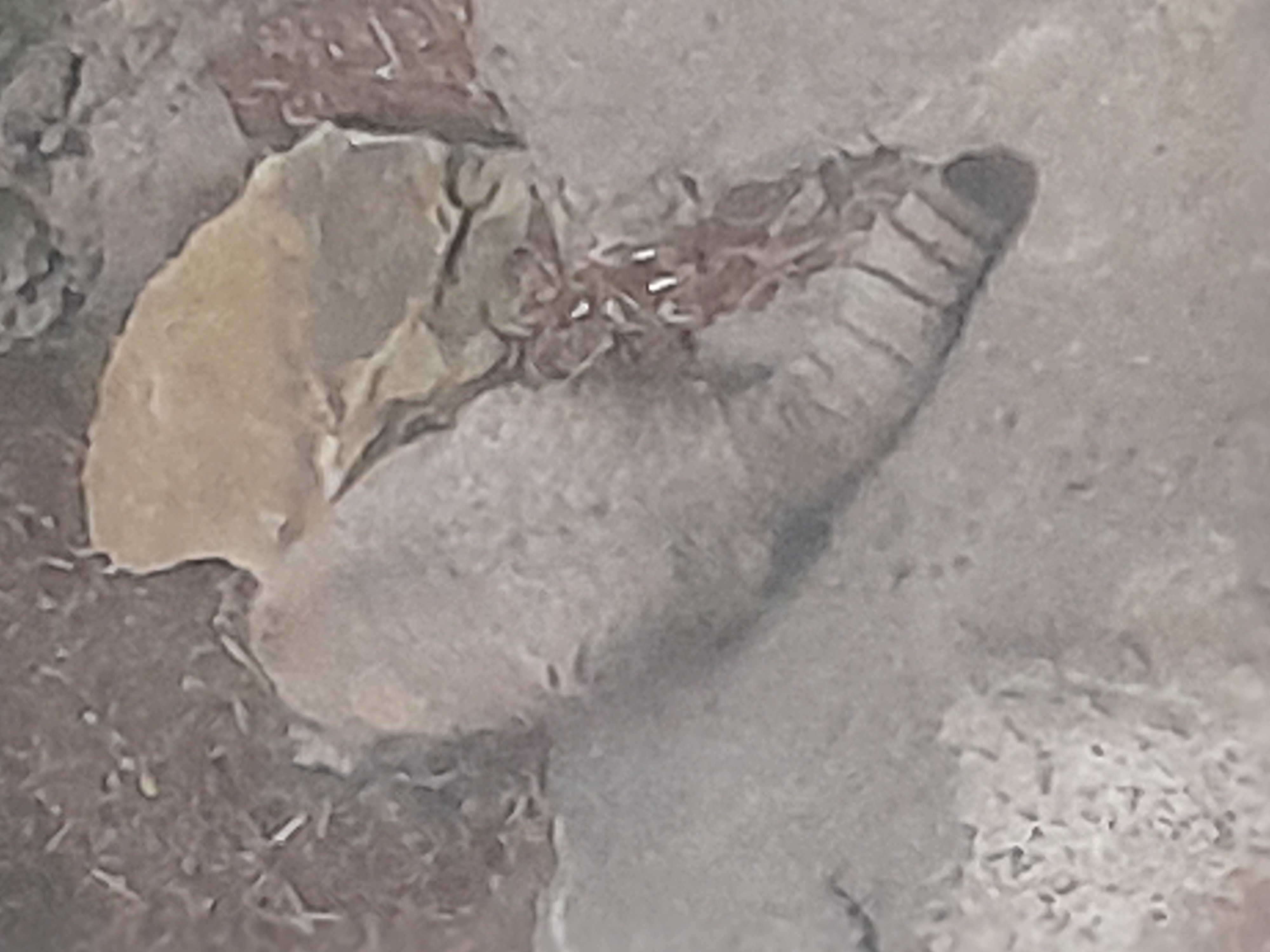 20241027_111423.jpg