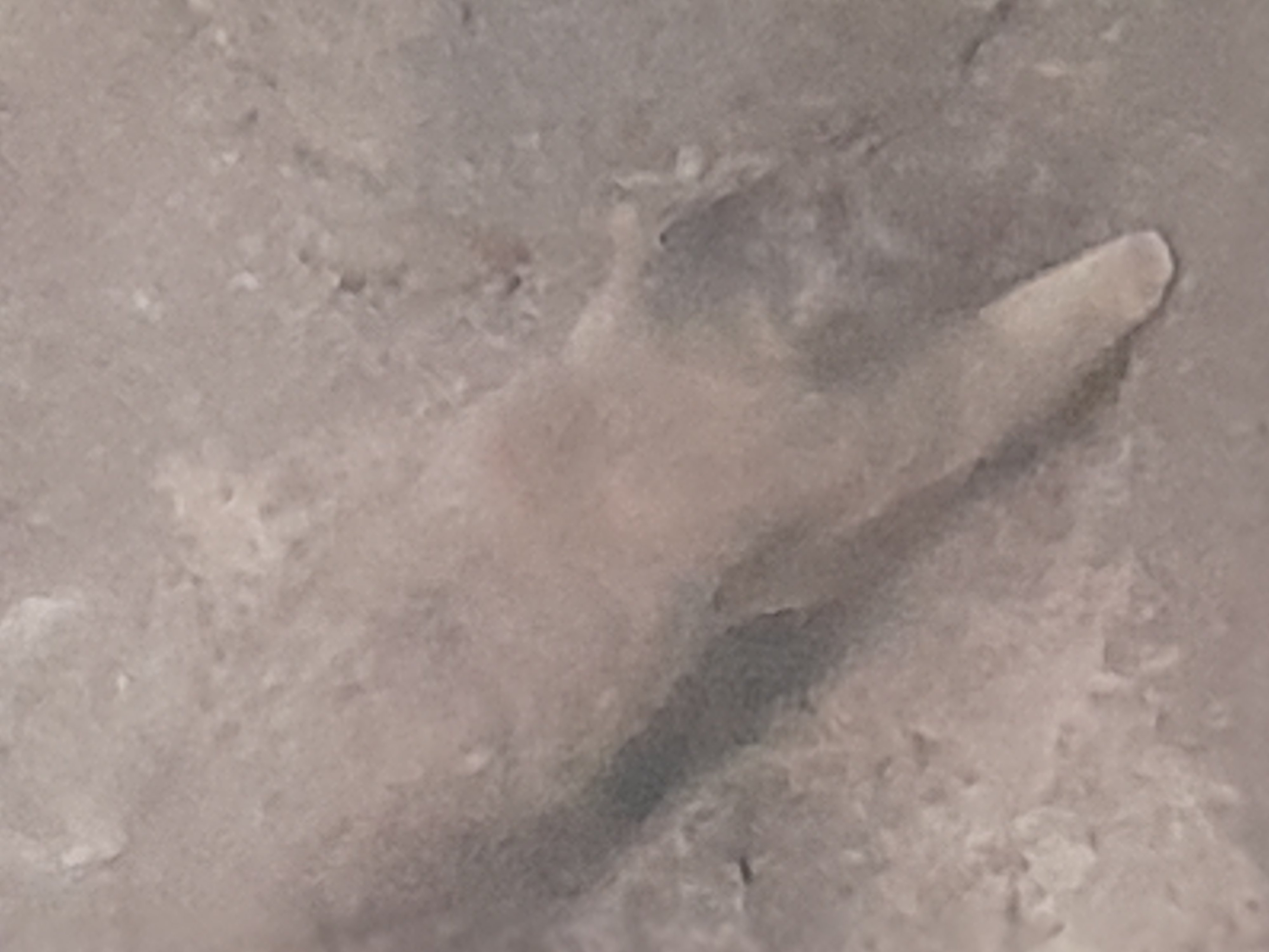 20241027_111432.jpg