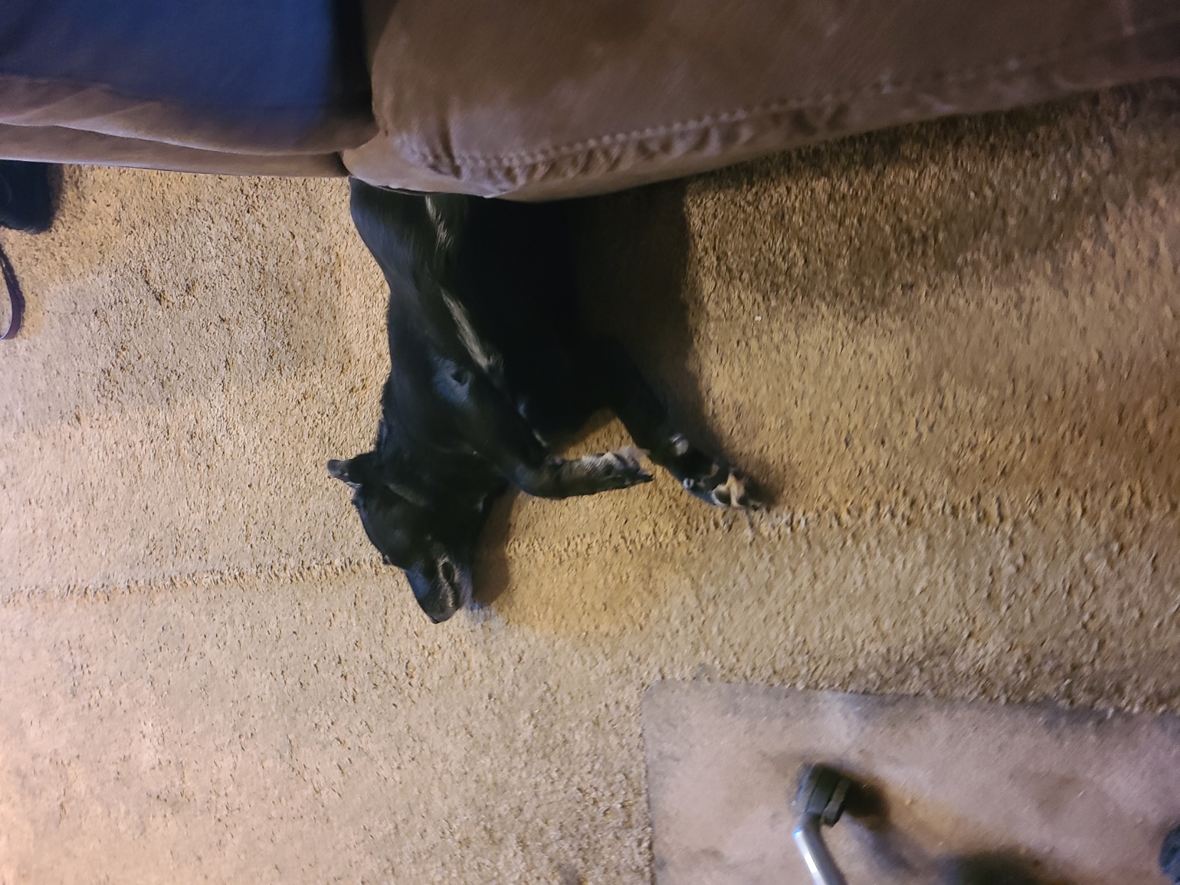 20241103_084642.jpg