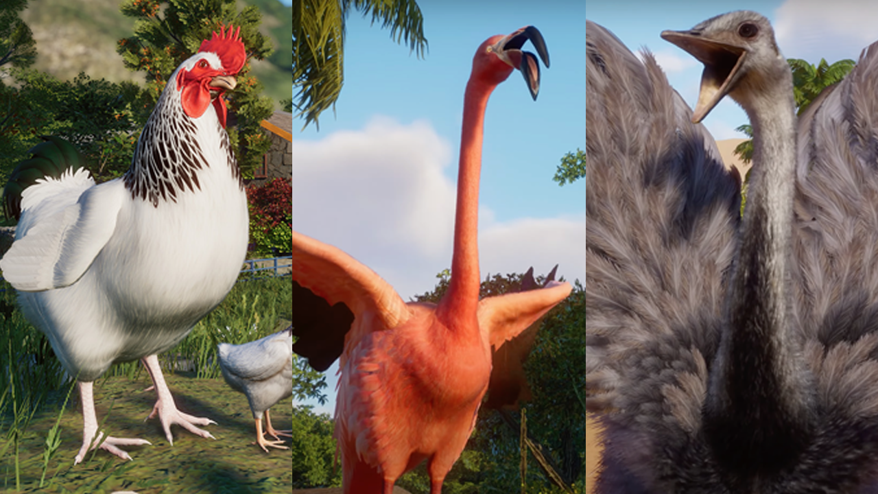 2025 birds so far lol please.png