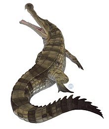 220px-Sarcosuchus_Illustration.jpg