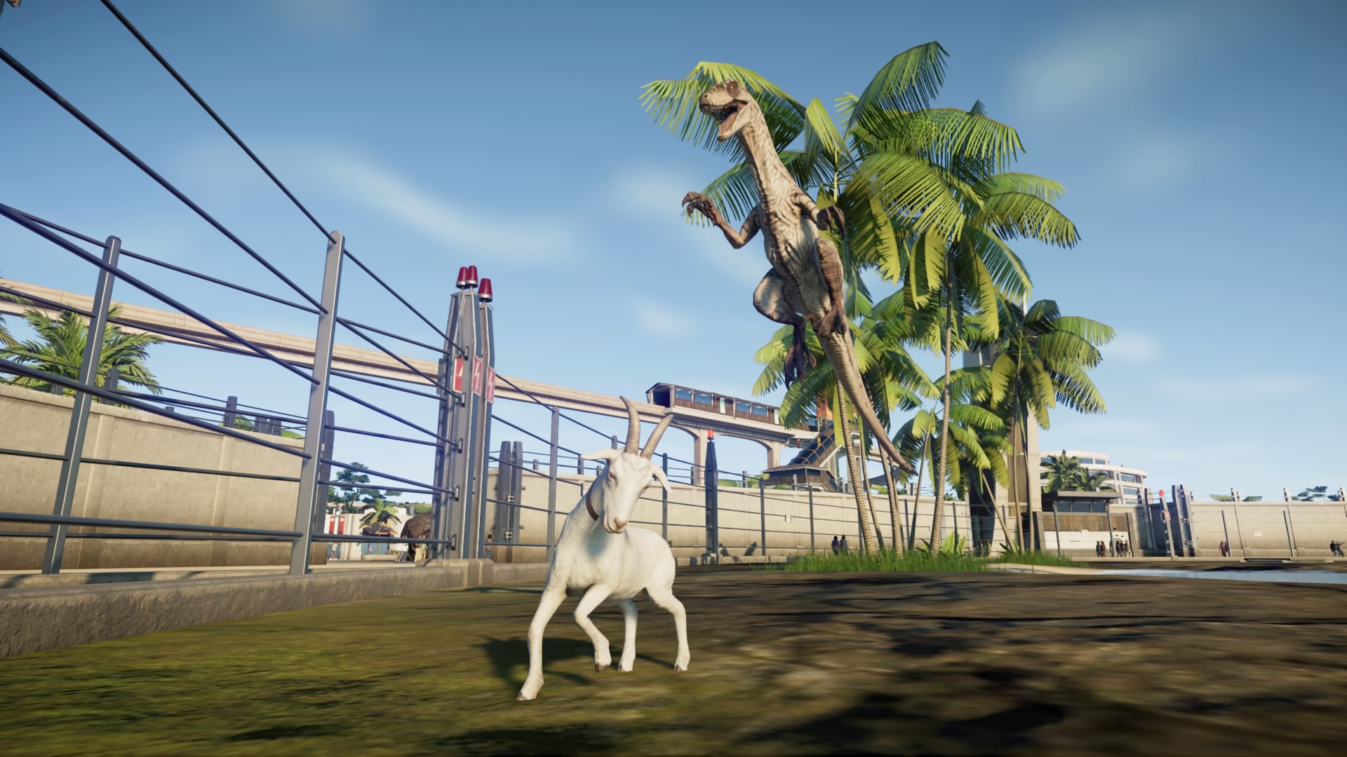 23 Raptor Attack.jpg
