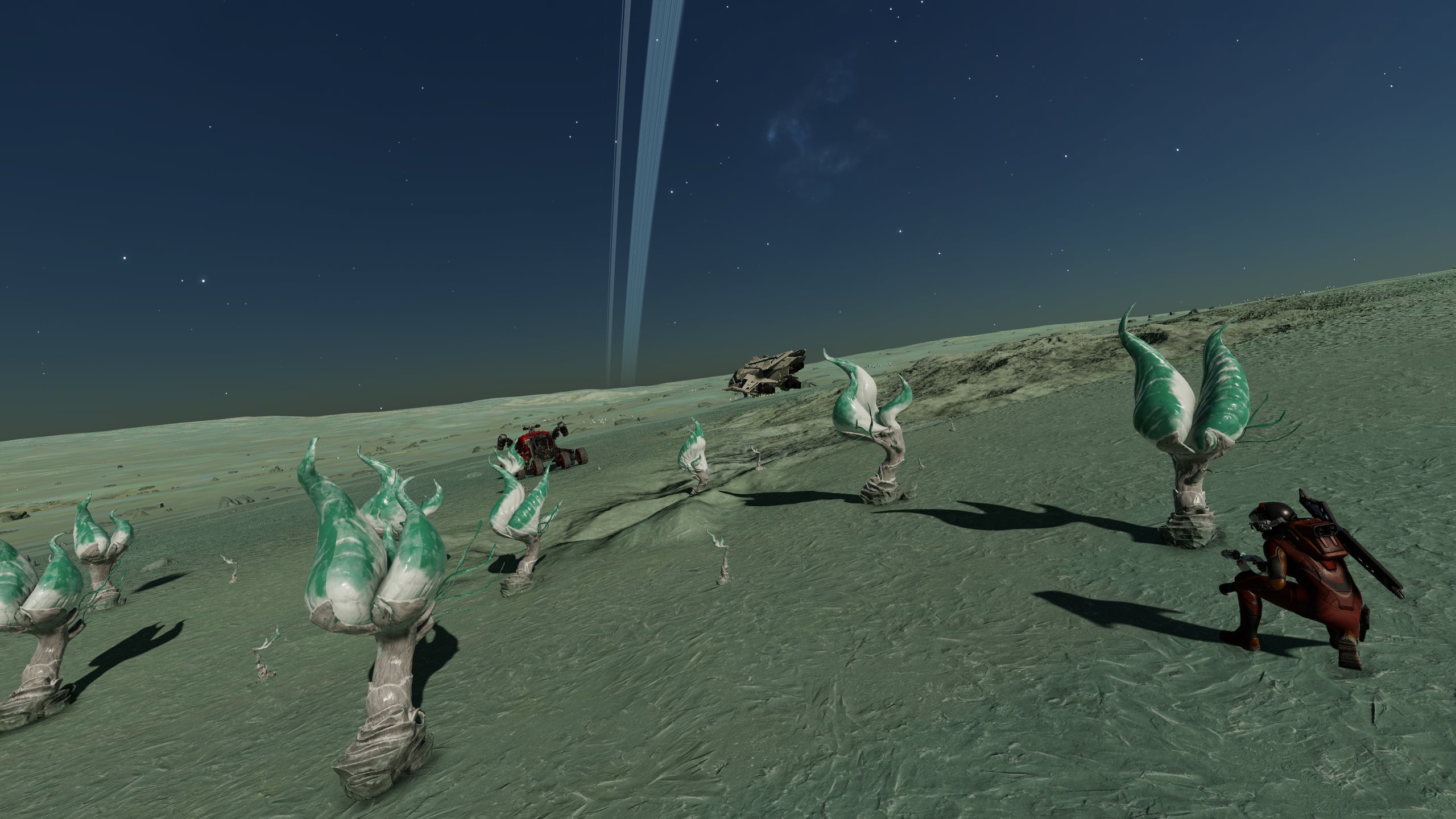 232432.jpg