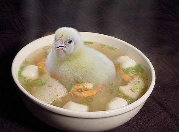 2378-chicken-soup.jpg