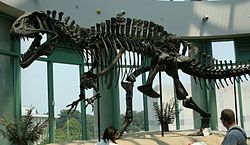 250px-Acrocanthosaurus_skeleton_(1).jpg