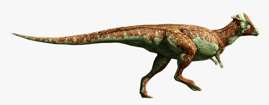 254-2542895_fallen-kingdom-stegosaurus-jurassic-world-png-download-transparent.png