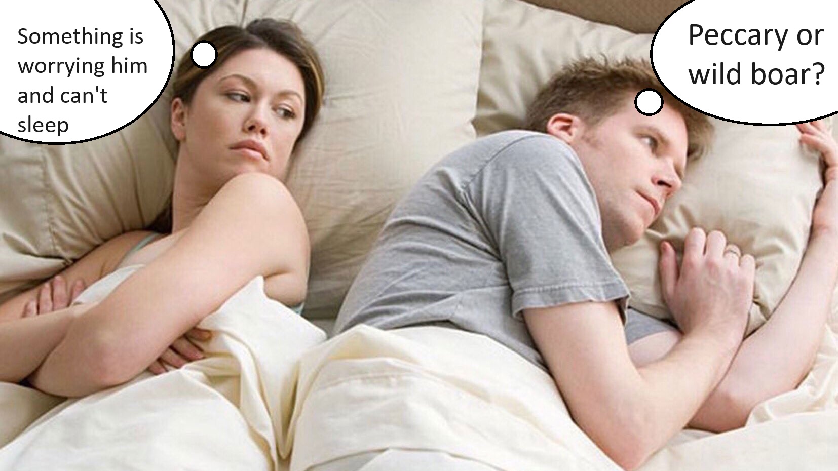 25lg9m.jpg