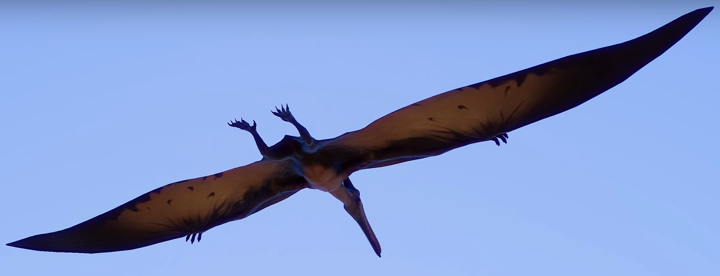 Where'S The 2001 Pteranodon? | Frontier Forums