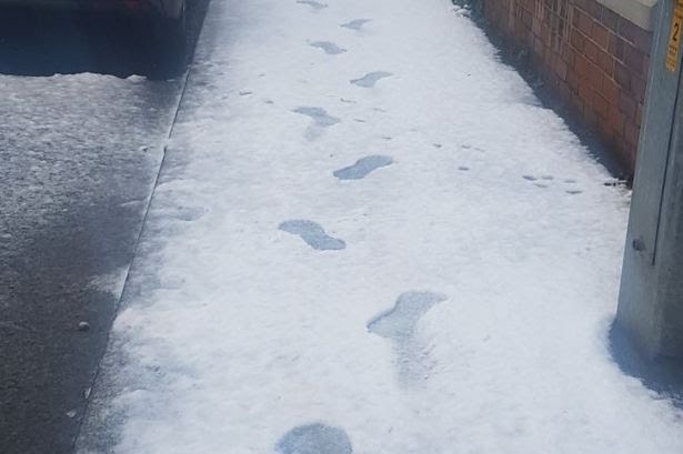 2_manc-footprints-1JPG.jpg