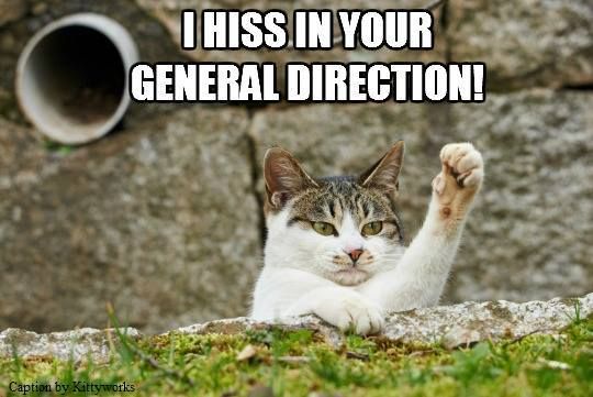2cf1b4df825fab59fb8c2a18a5c0d036.jpg