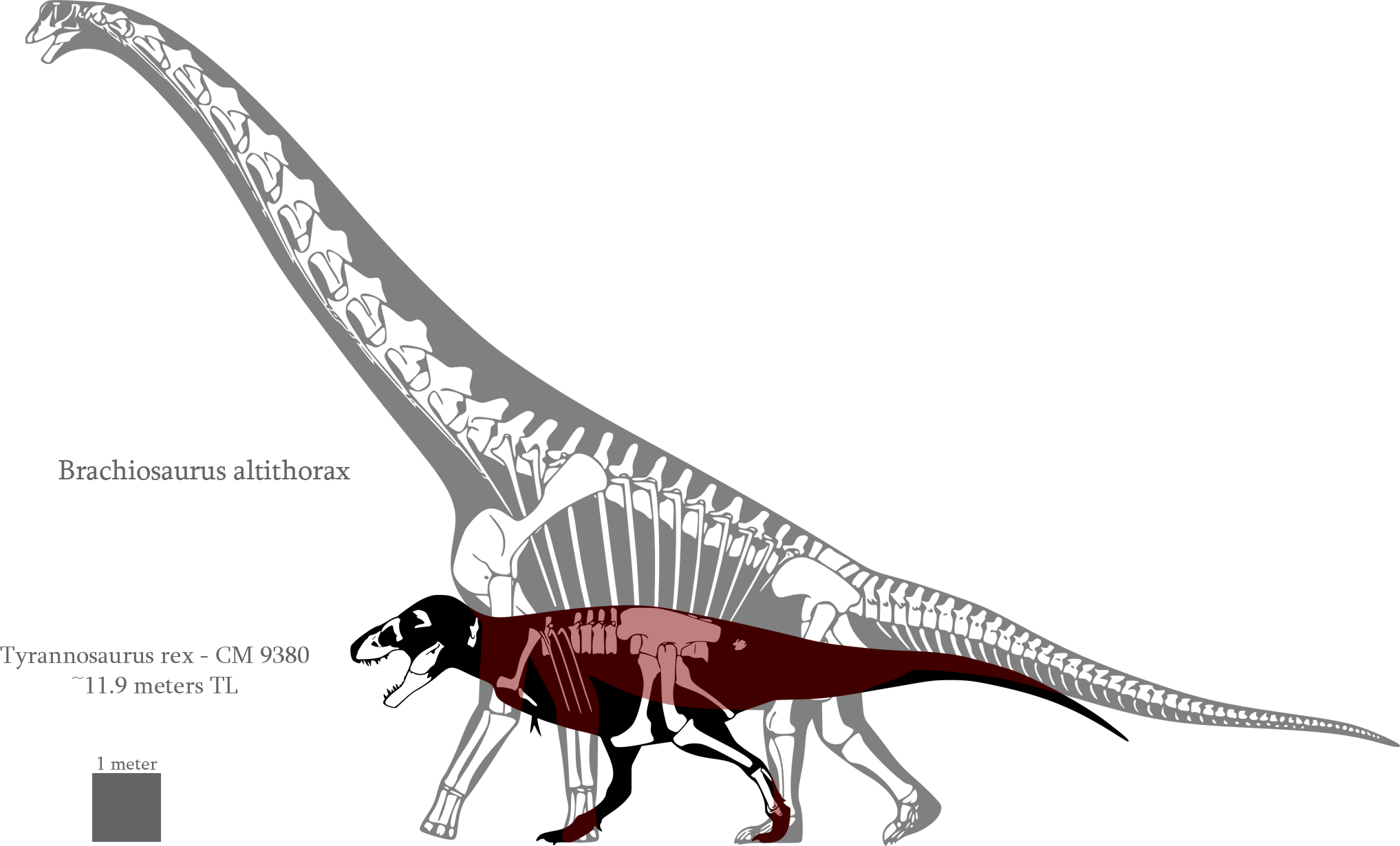 2D6BB323-61EB-45E7-A167-F42BE96D25D0.png