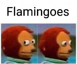 2gnnjh~2.jpg