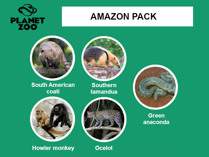 3 - Amazon pack.png