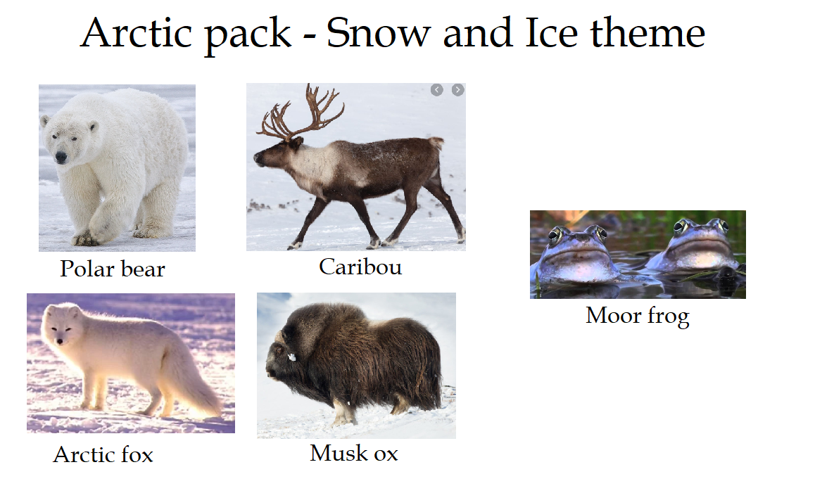 3 arctic.png