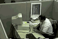31554a4064e165ed11997b41365cbbce_w200.gif
