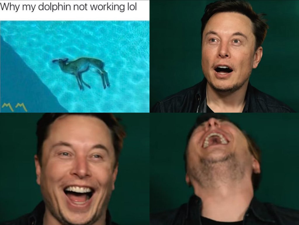 3367188.jpeg