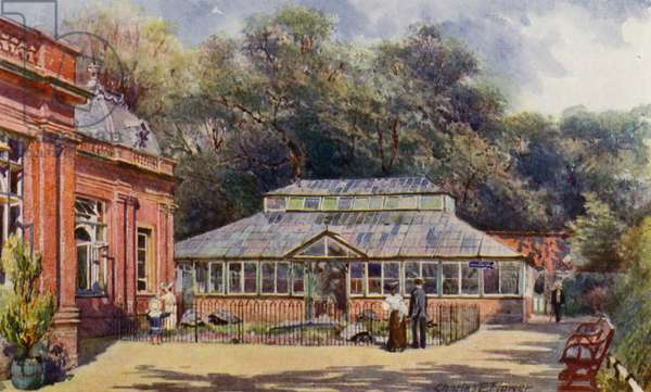 33A. Tortoise House 2.jpg