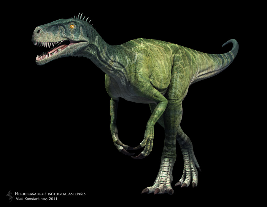360_herrerasaurus_vlad_konstantinov.jpg