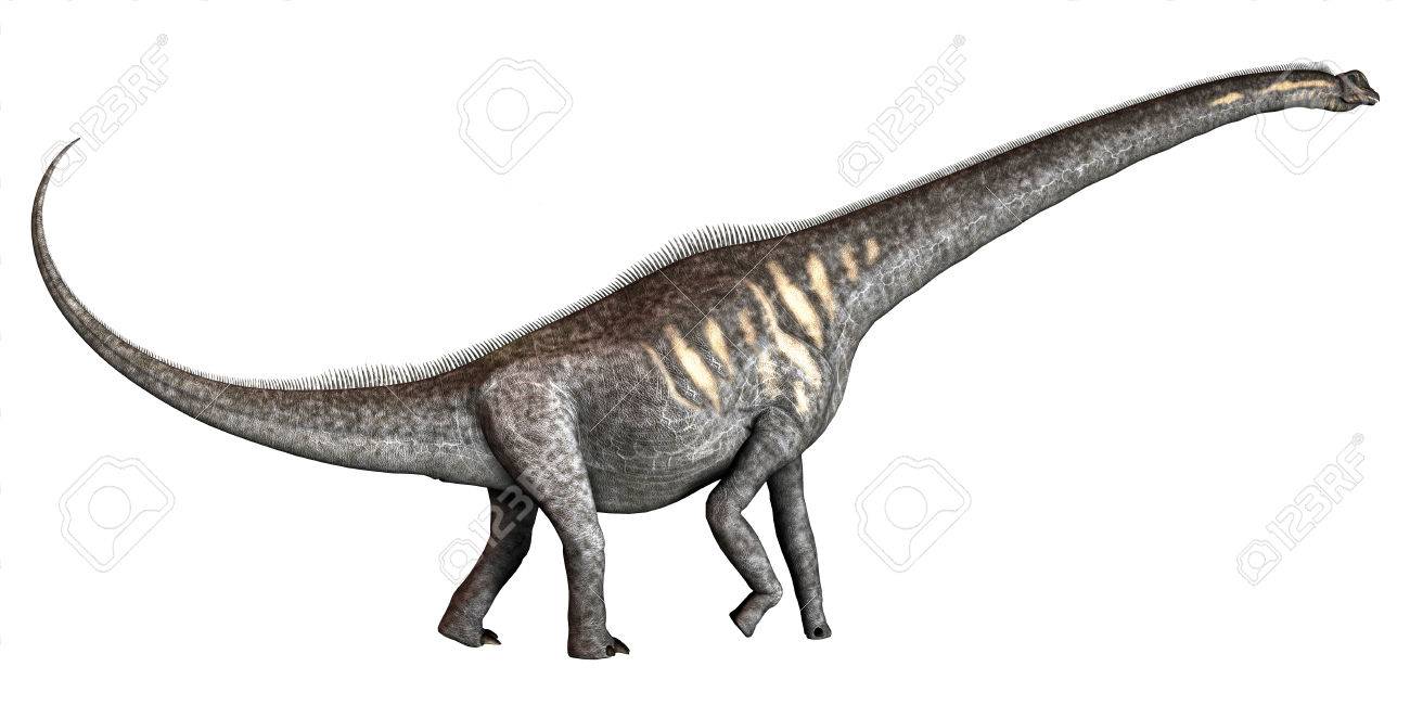 37551498-sauroposeidon-on-white-sauroposeidon-was-a-herbivorous-sauropod-dinosaur-that-lived-i...jpg