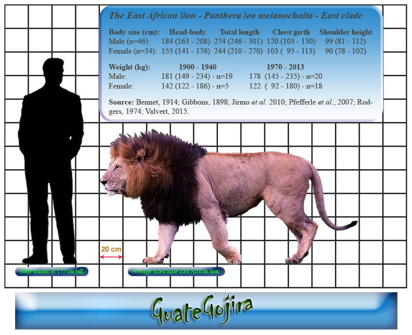 3B6BF902-2AF4-4EB3-B2E6-1DEDBE256B77.png