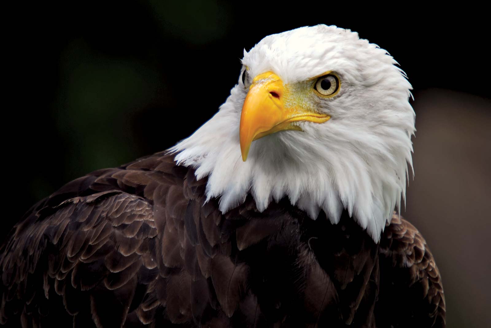 3E1E5445-6265-4B18-99C2-3FC50AF60225.jpeg