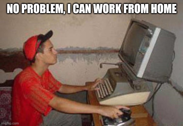 3u36cs.jpg