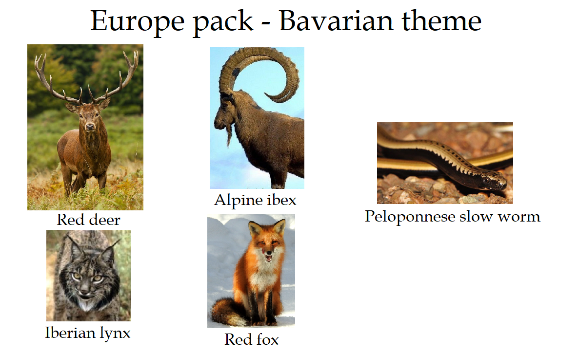 4 europe.png