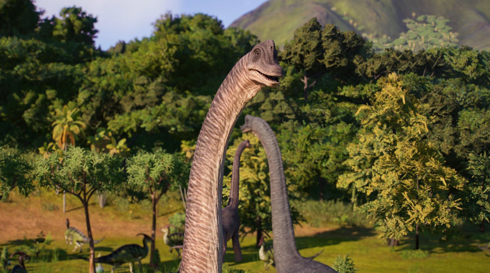 4.JPG