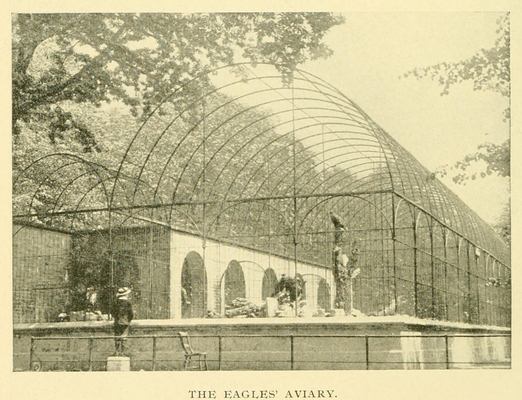 40. Eagle Aviary 6.jpg