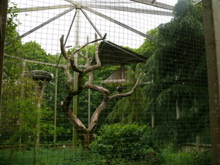 40D29E7A-AAC0-47CB-B4F4-A4AE51ED9962.jpeg