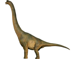 46FD0534-7D02-4C38-B381-996272DDB20C.png