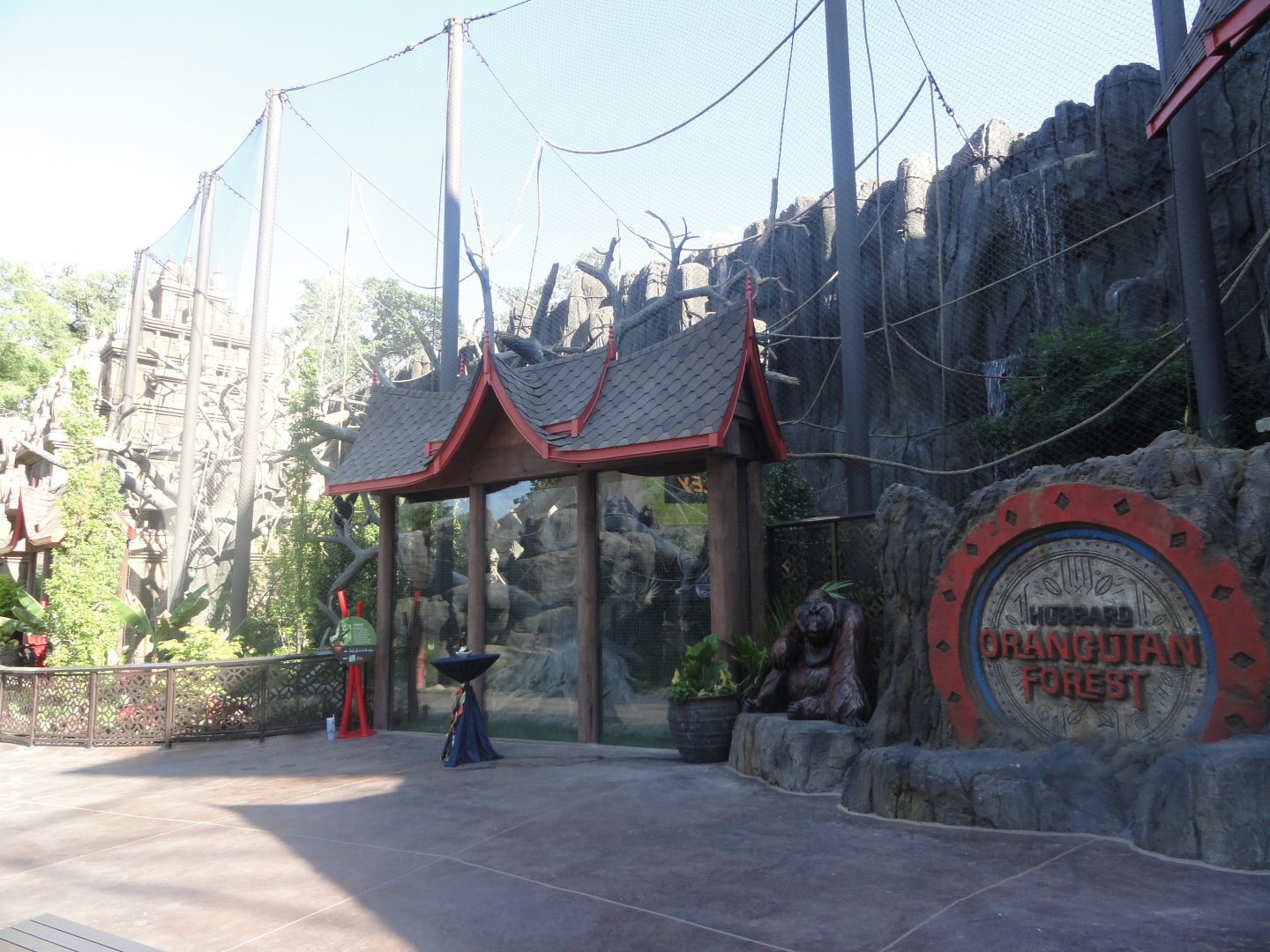 48 Siamang Exhibit.JPG