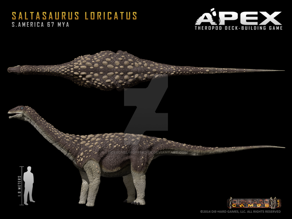 482_saltasaurus_herschel_hoffmeyer.png