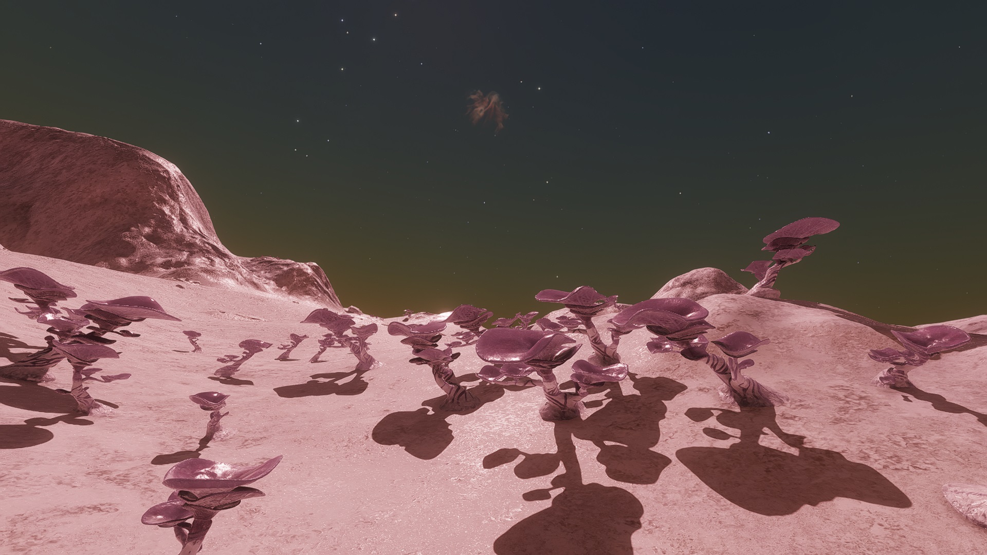 4spaceshrooms.jpg
