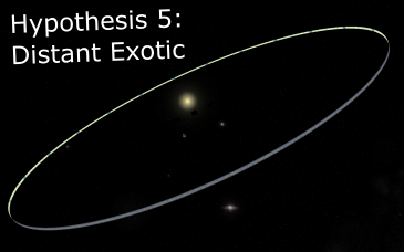 5 - Exotic.png