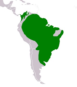 509.469132.jpg