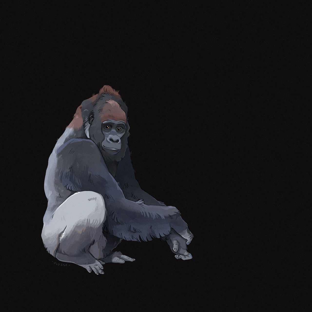 552CE46F-F60C-4552-ACCE-61FE3164F2A1.jpeg