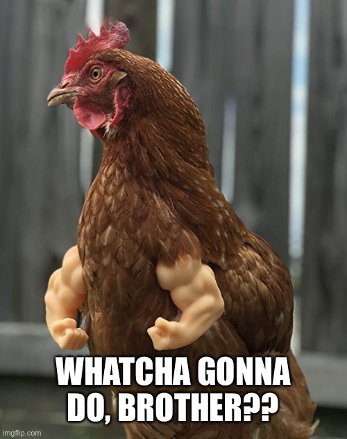 5648872C-B796-4929-8359-07153874E36B.jpeg