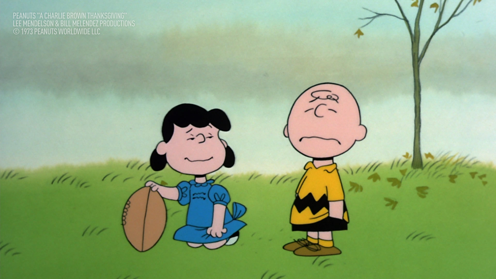 5730758_localish-LSH1413-CHARLIEBROWN-KGO-vid-3736980700.jpg