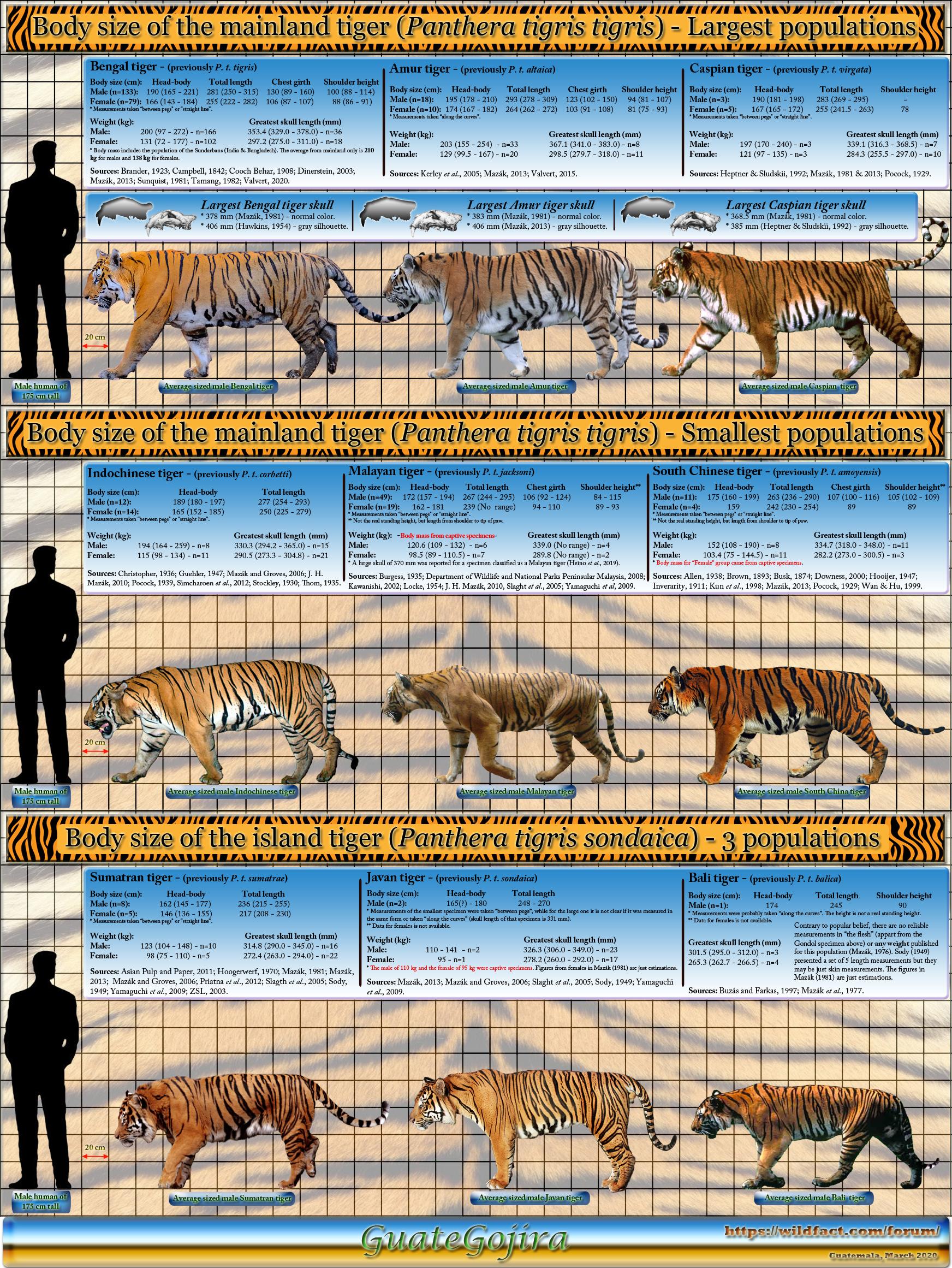 Animal Size Comparison | Frontier Forums