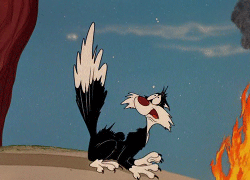 586F9C1E-08C7-4336-9E83-C07B431E049C.gif